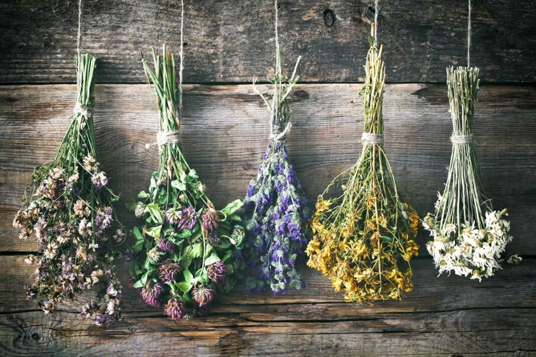 Come essiccare i fiori Come essiccare i fiori